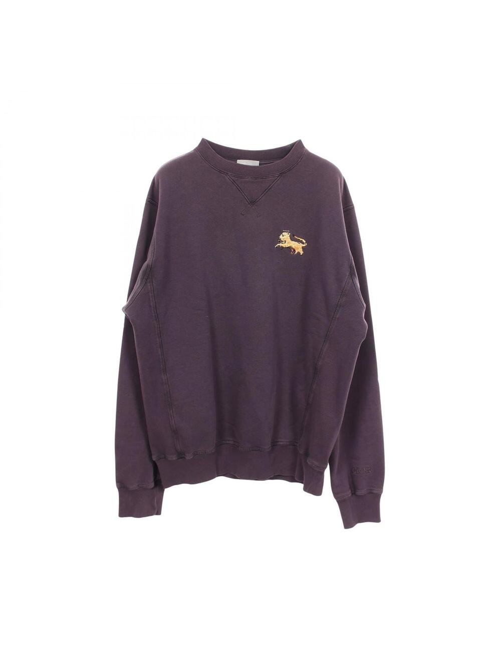 Dior × Peter Doig Distressed Finish #341262D68B